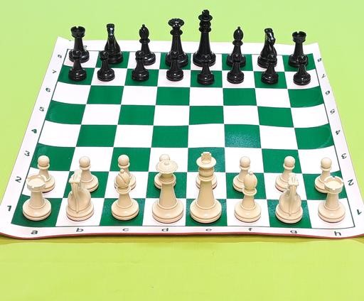 نحوه حرکت مهره های شطرنج