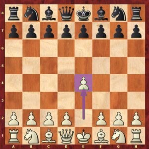 شطرنج را از کجا شروع کنیم