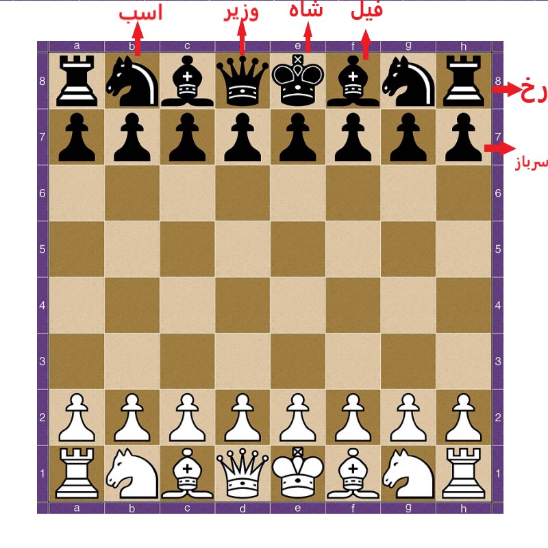 انواع مهره های شطرنج و نحوه چیدمان آنها